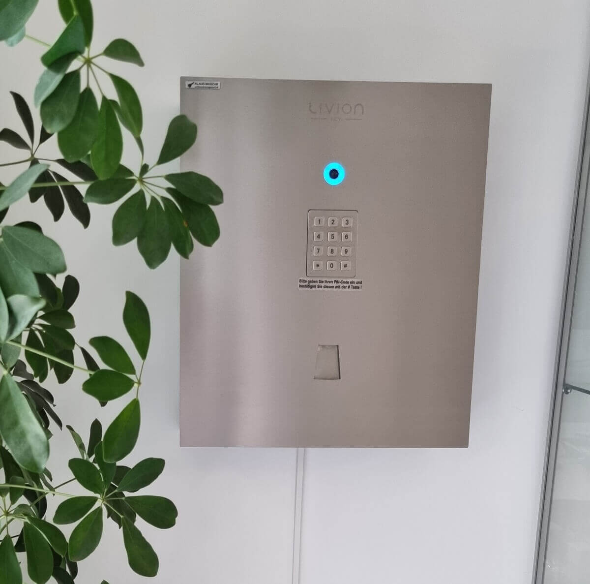 Elektronischer Schlüsselkasten LIVION Key mit PIN-Tastatur an einer weißen Wand Elektronischer Schlüsselkasten LIVION Key aus Edelstahl mit PIN-Code-Tastatur und Leuchtring, montiert an einer weißen Wand, daneben eine grüne Pflanze